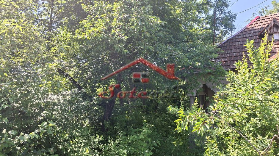 Teren generos în Cornu de Jos – 3.470 mp, deschidere 36,88 ml - Poză 5