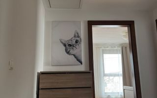 Casa insiruita cu 3 camere in Dumbravita - Poză 3