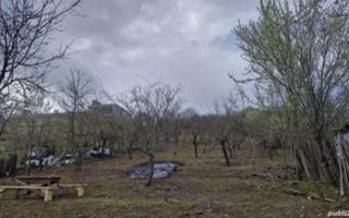 De vanzare! 3 parcele de teren intravilan - Poză 3