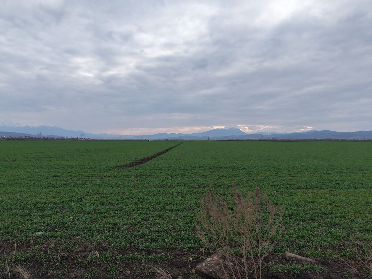 Teren de vânzare – 20.000mp – Ghimbav, lângă Parcul Industrial - Poză 3
