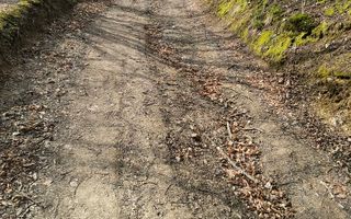 Un colt de rai in Apuseni I viața ca pe vremuri - Poză 5