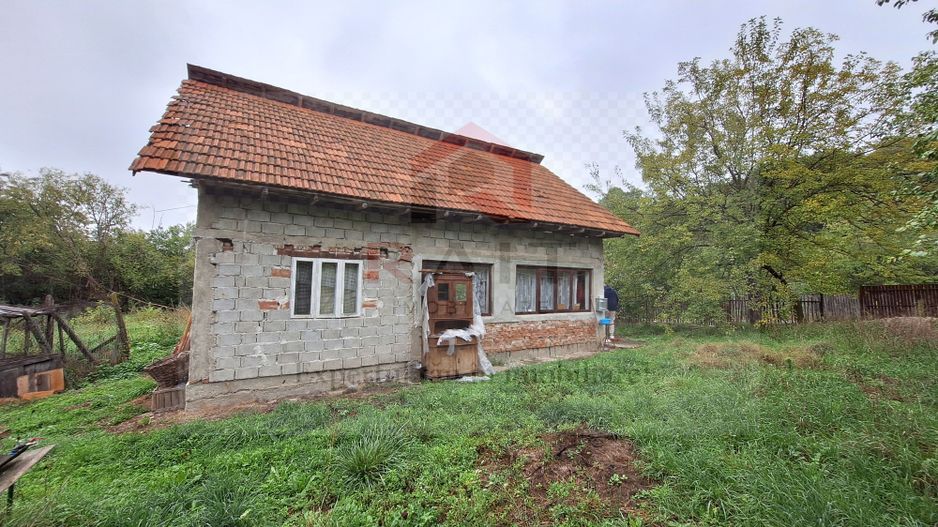 Casa de Vanzare Baiculesti Arges - Poză 4