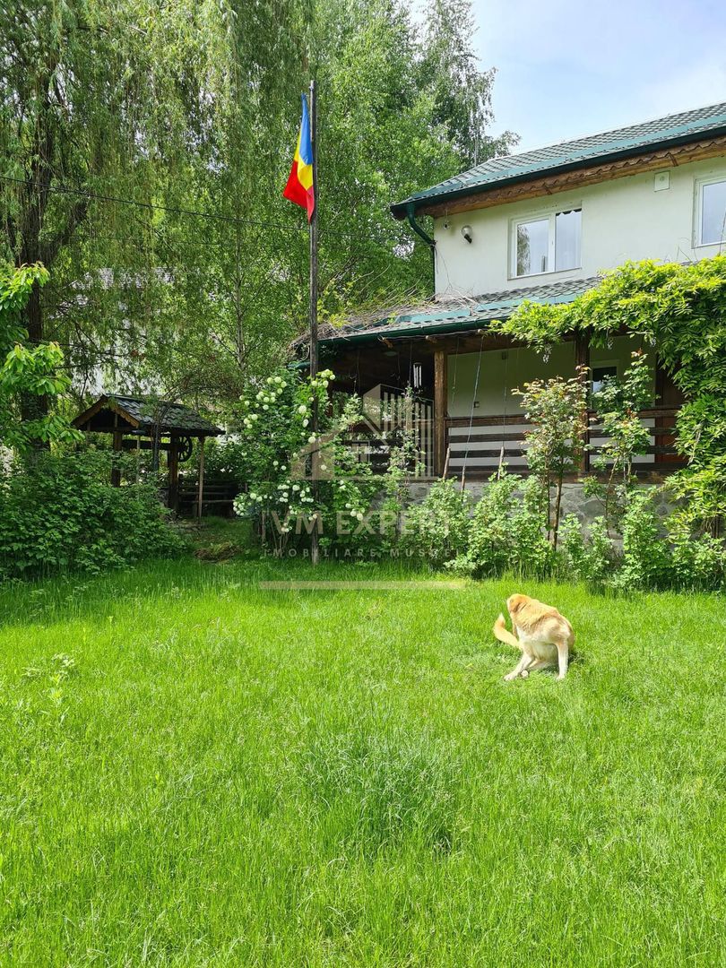 VILA 6 CAMERE TEREN, 825 MP, BEREVOIESTI, ARGES - Poză 6