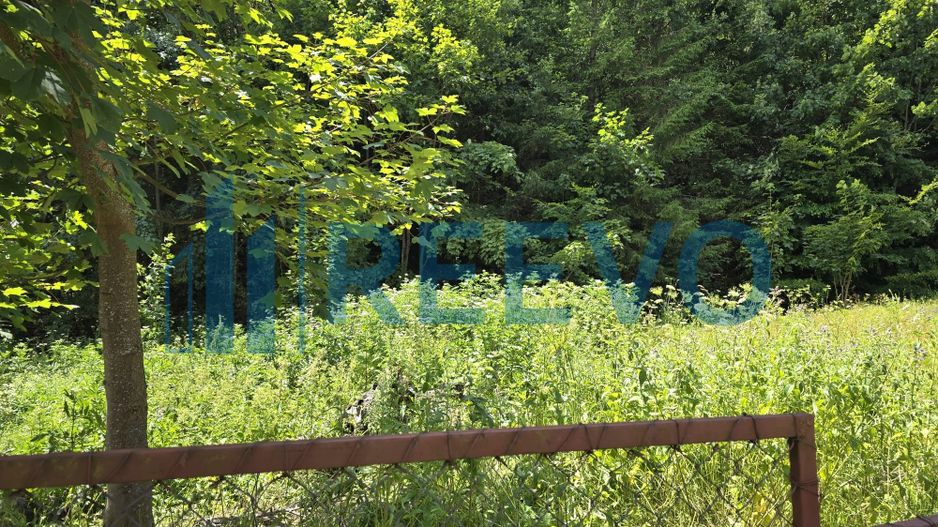 Teren Izvorul Muntelui, Bicaz, la baza traseelor de la Vârful Toaca - Poză 7