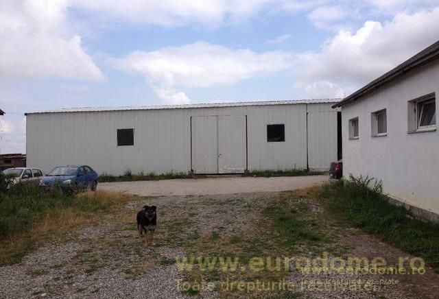 Inchirieri Hale Industriale in imprejurimi - Poză 4