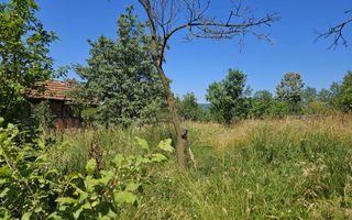 Vanzare teren intravilan, Zigoneni - Curtea de Arges - Poză 10