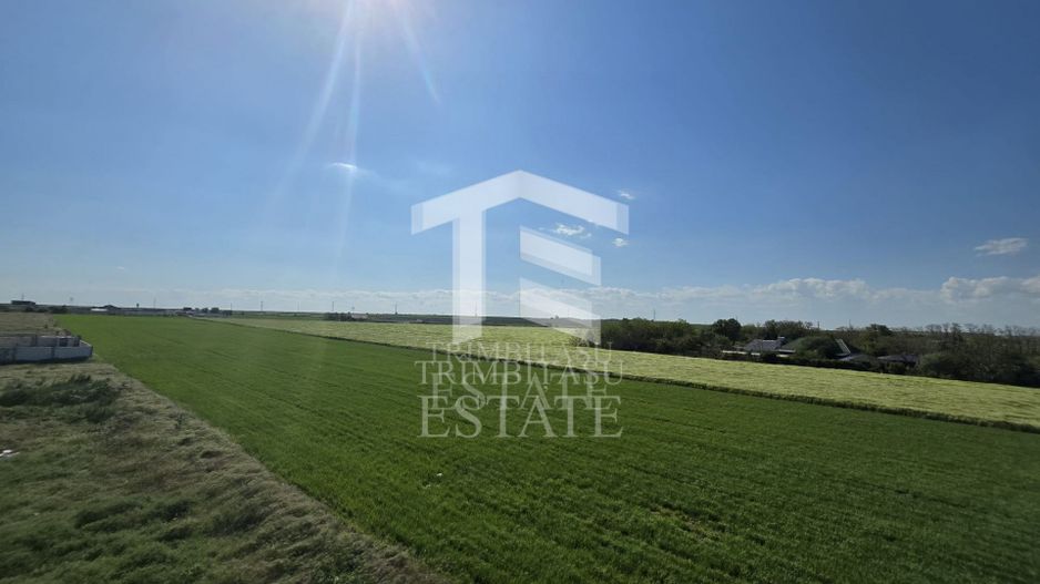 OVIDIU-POIANA- Vila tip duplex | terasa circulabila | gaz | curte - Poză 35