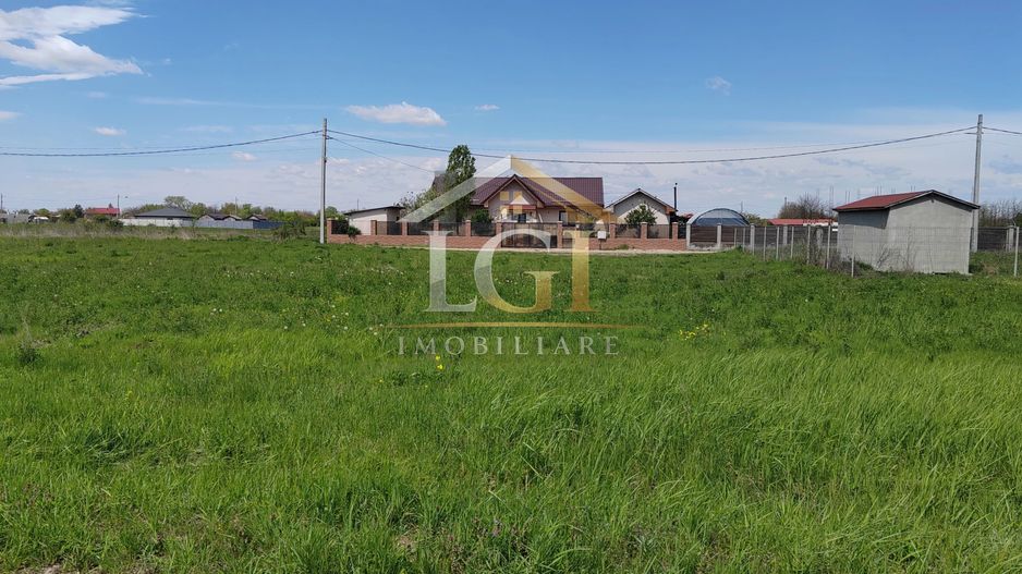 🌿 Teren de vânzare – Răcari, Str. Mestecenilor - Intrarea cu Tei - Poză 4