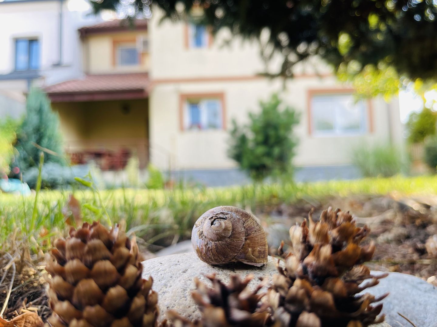 Casa individuala cu 4 dormitoare, 184 mp | Garaj & Gradina | Fropin - Poză 2