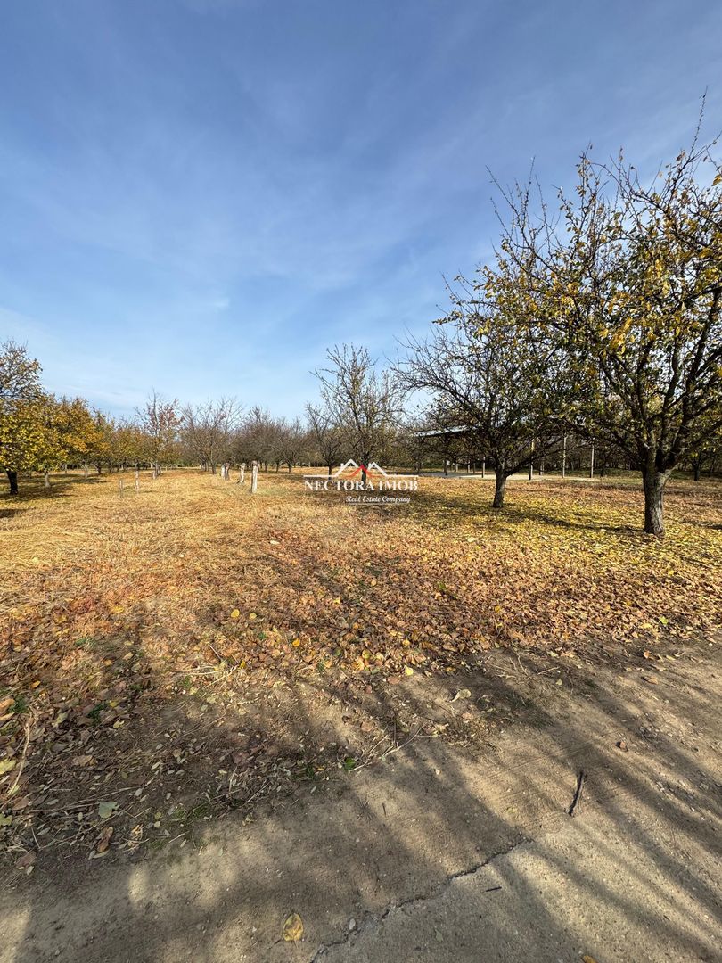 NECTORA IMOB-Teren cu livada matura+Anexa racordata la trifazic,9162mp - Poză 6