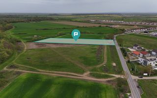 Teren intravilan 5800 mp în Remetea Mare - Poză 5