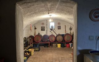 Casa 6 camere I 250MPU | 867MP Teren | Turnisor - Poză 10