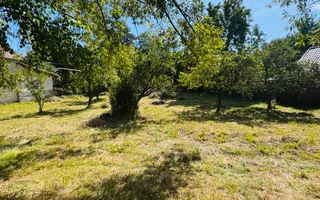 TEREN INTRAVILAN 3234 MP LEREȘTI VOINEȘTI ARGEȘ - Poză 12