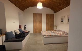 Spatiu Comercial-Apartamente Traian - Cladire integrala - Poză 3