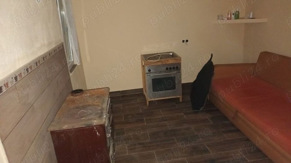 BRASADAS vinde casuta de vacanta in Ardud. - Poză 5