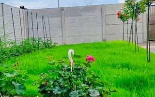 BG50-Vila individuala Premium 5 camere - Poză 13