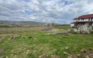 Terenuri de vânzare – Investiție cu potențial în Daia Nouă! - Poză 1