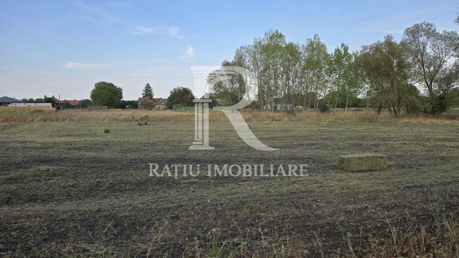Teren intravilan 6.514mp | 39m front stradal | Ciocaia | Săcuieni - Poză 8