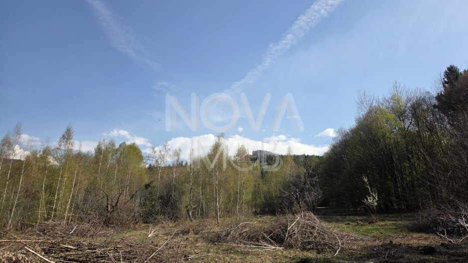 Teren intravilan de vanzare - Vistisoara - Poză 6