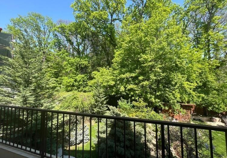 Vila de vanzare Baneasa | Liziera padurii | zona Liceului Francez - Poză 12