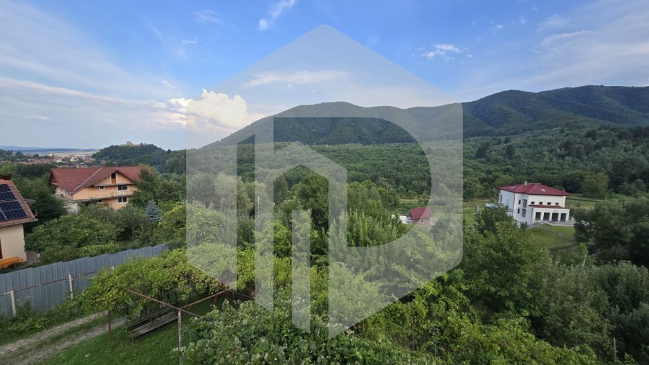 Casa individuala 4 camere teren 3825 mp Cisnadioara - Poză 23