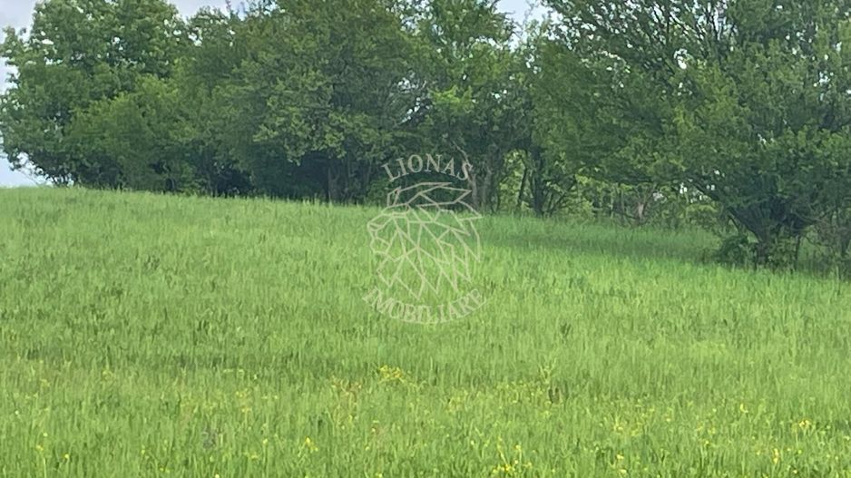 Teren intravilan 631 mp cu utilitati-ideal casa-Sigmir - Poză 4