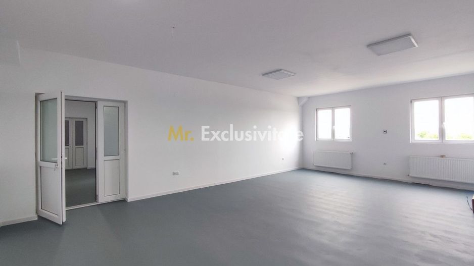Inchiriere Spații de Birouri/Producție - Str. Uzinei - Carei - Comision 0% - Poză 3