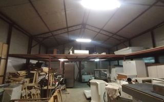 DELFINARIU (COD10) - Spatiu productie/Hala/ Depozit de inchiriat - Poză 6