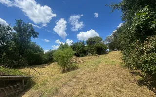 Casa cu 3 camere, 2300mp teren, zona SubPadure - Poză 18