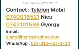 Ocazie Unica-2 Case+1 loc teren - Poză 2