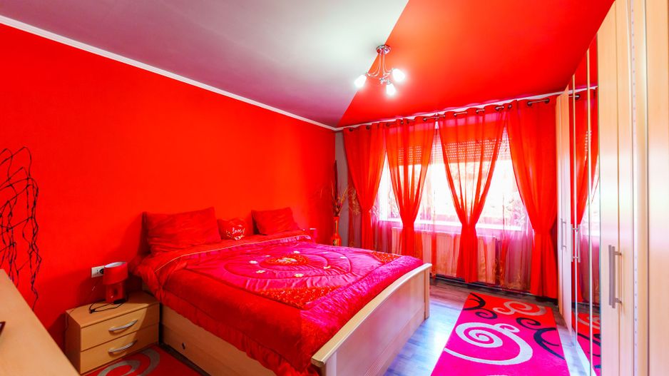 Casă spațioasă la sol în Macea - Poză 17