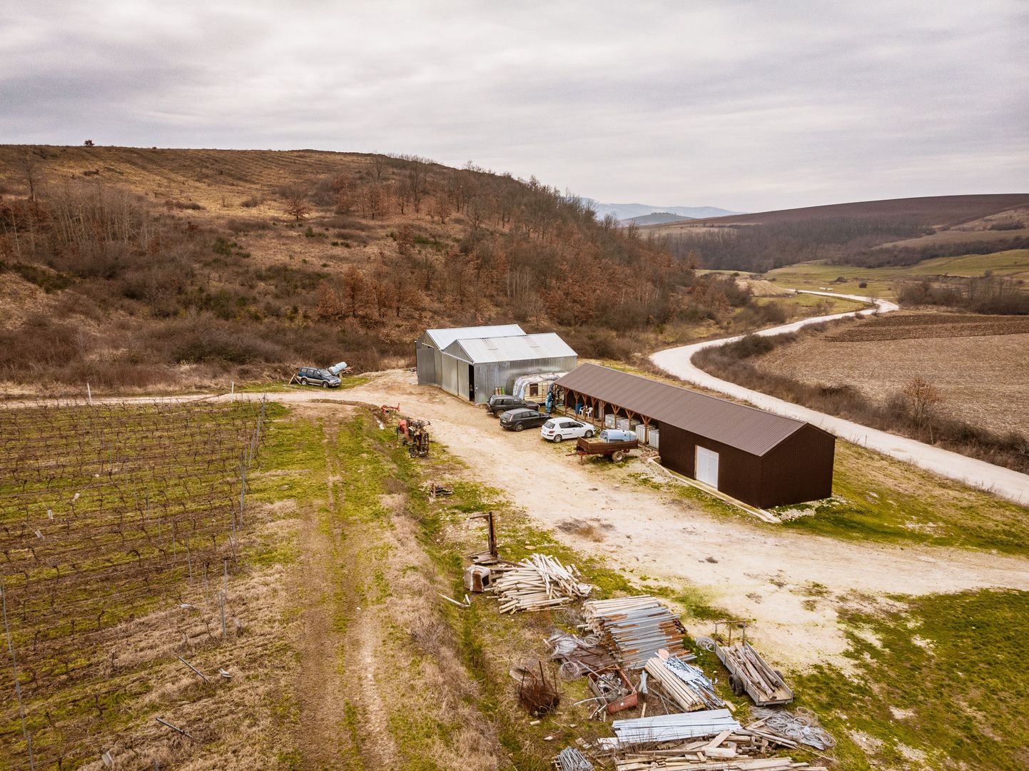 Vie de 115 Hectare în satul Dud, județul Arad - Poză 8