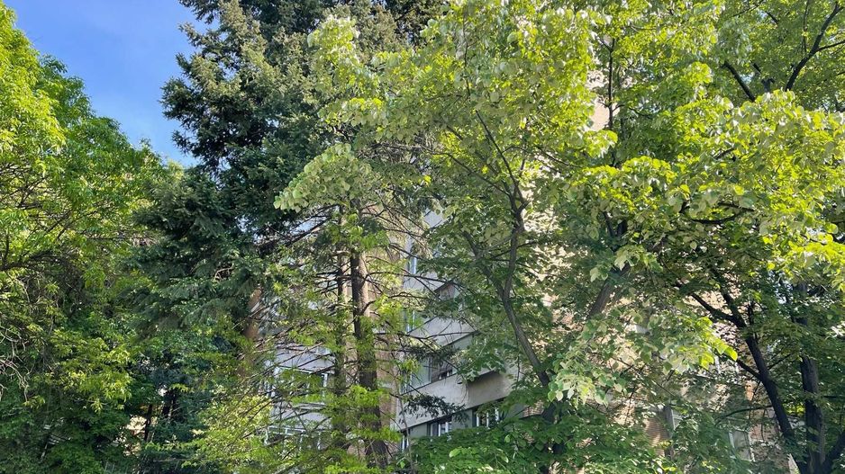 Apartament  2 camere -  zona Drumul Taberei - Poză 4