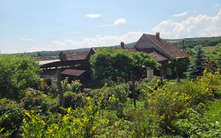 Casă săsească autentică în Bruiu (Sibiu) - Poză 21