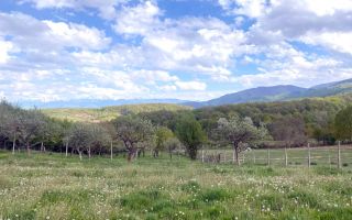 Teren intravilan I 3370 mp I PUZ pentru P+2 I Zona  Cisnadie - Poză 2