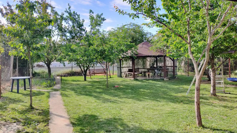 Casa cu 3 apartamente în Dumbravita aproape de pădure - Poză 19