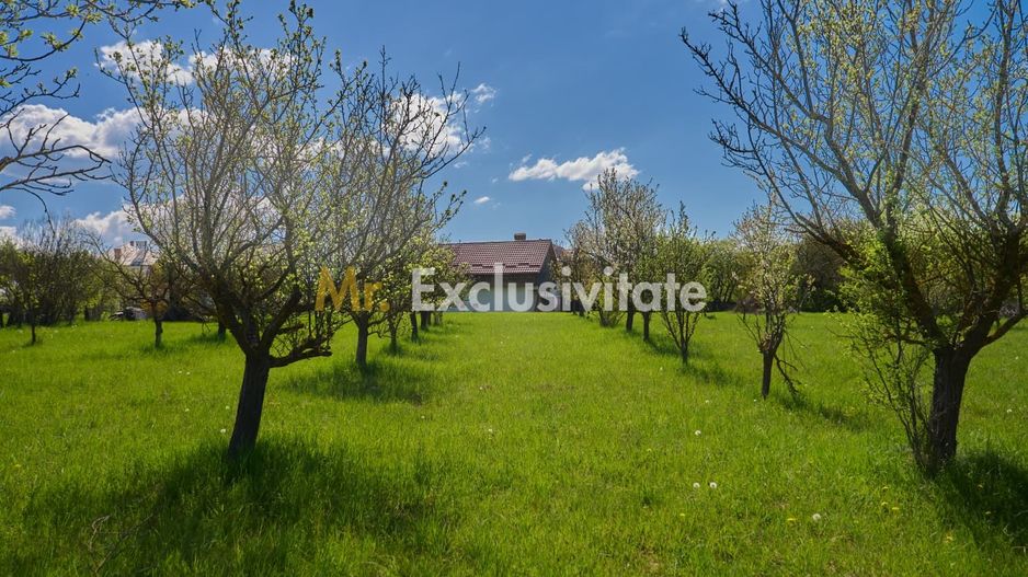 Teren Campulung Muscel - Valea Mare Pravat - 9400 mp, utilitati - Poză 1