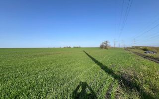 Teren 41,49 ari Ghidighici | deschidere 122 m | agricol | investiție - Poză 13