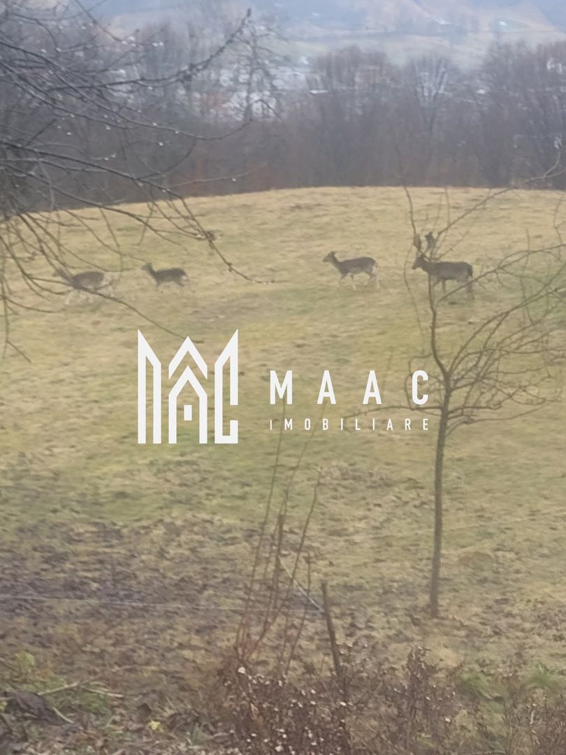 Casa Vantului si 8000 metri patrati in Abrud - Poză 6