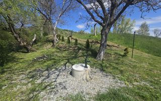 Teren 5400 mp superb cu livada si vedere spre munti Orlat - Poză 6