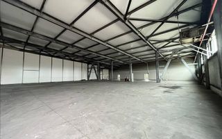 Hala de inchiriat in zona Mehala 1310 mp - Poză 1