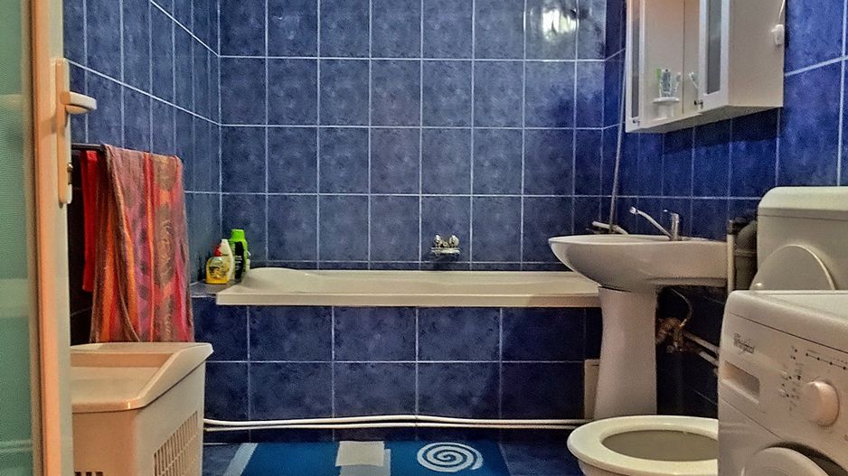 Casa de vanzare, teren mare, intrare auto - Sacadat, Bihor - Poză 10