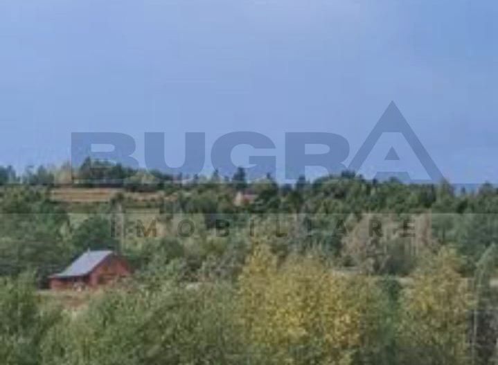Teren extravilan, 4265 mp, zona Dangau Mare - Poză 3