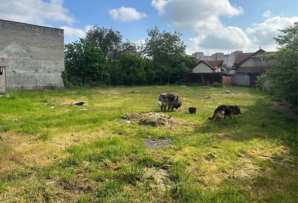 BRASADAS vinde teren in zona Soarelui. - Poză 2