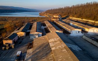 Fosta Ferma a Partidului de la Horgesti - de vanzare - Poză 8