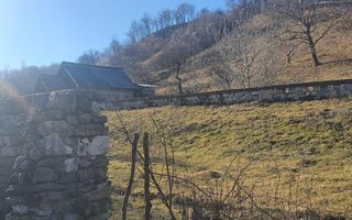 TEREN INTRAVILAN 4614 MP, CAMPULUNG - VALEA ROMANESTILOR - Poză 5