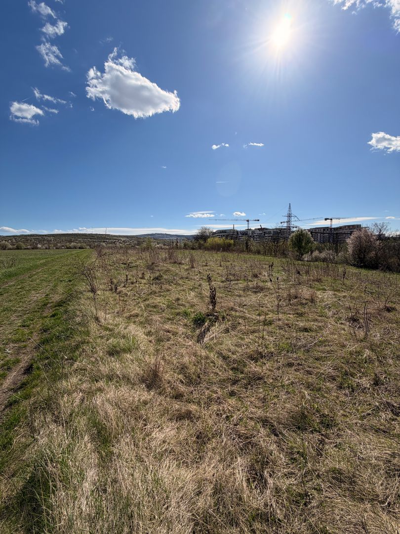 Teren situat în Sopor 5800 mp | Intravilan | Iulius Mall - Poză 2