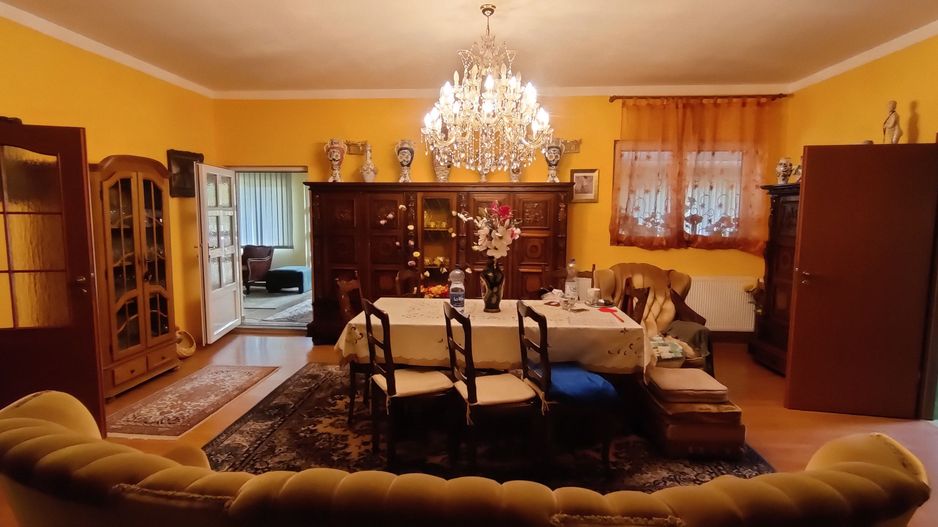 CASA INDIVIDUALA SI HALA CU TEREN  4000 MP - Poză 36