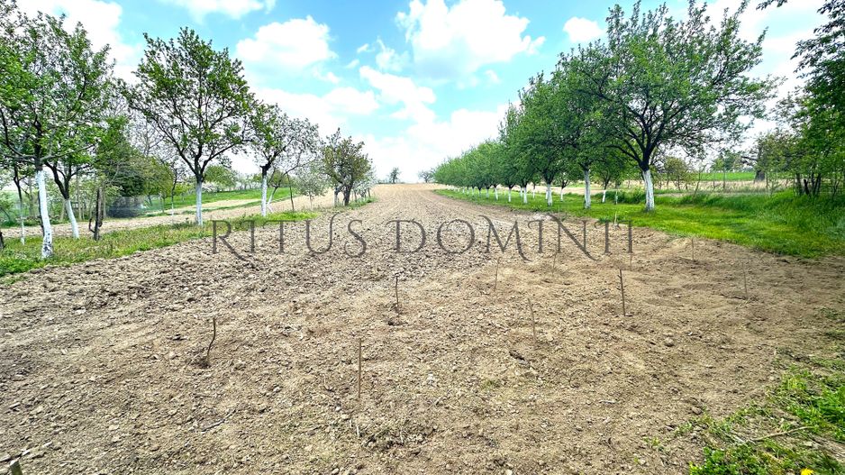 Teren Intravilan de Vânzare, Cetariu, 5450mp - Poză 1