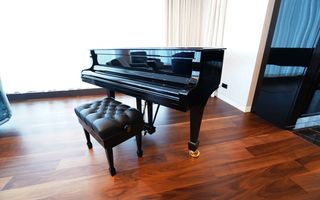 Penthouse deosebit One Herastrau Park I View superb - Poză 2